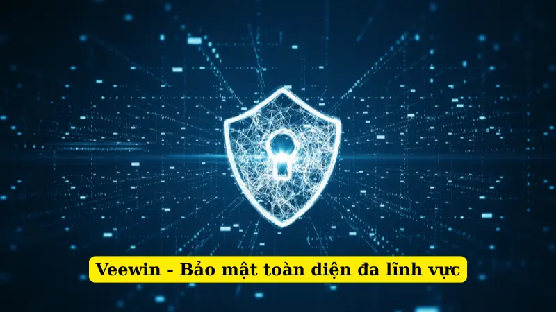 Veewin - Bảo mật toàn diện đa lĩnh vực